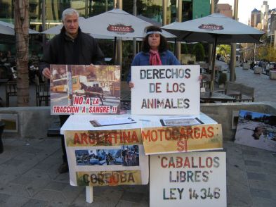 Proyecto Caballos Libres en Córdoba